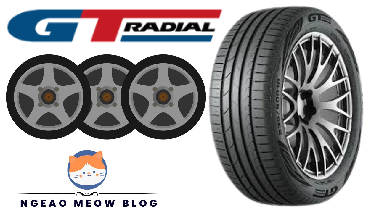 Inflate Your Knowledge: Exploring the Science of the Best Car Tires